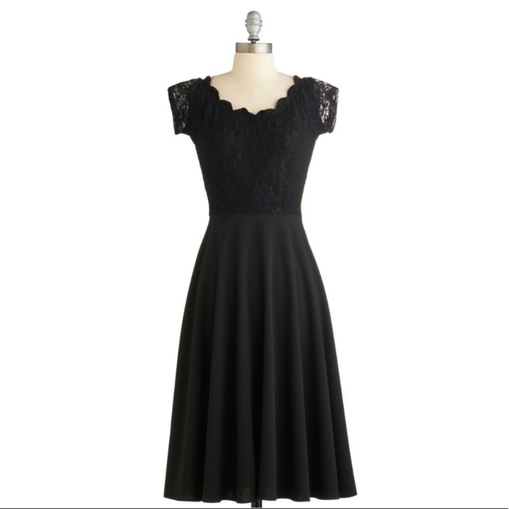 NWT! Lacy Fit and Flare Dress